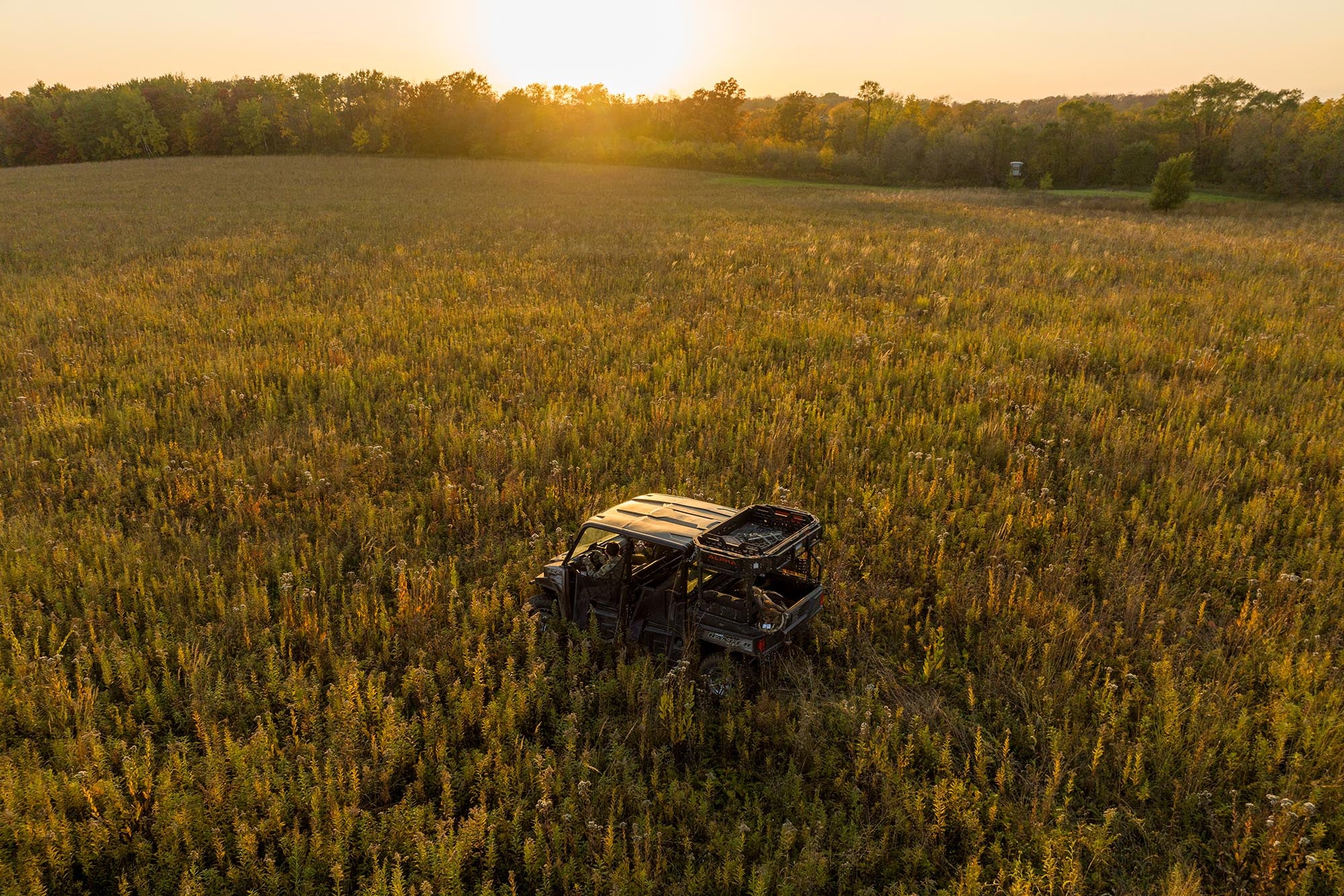 Early Season Food Plots: Cultivating a Deer Haven