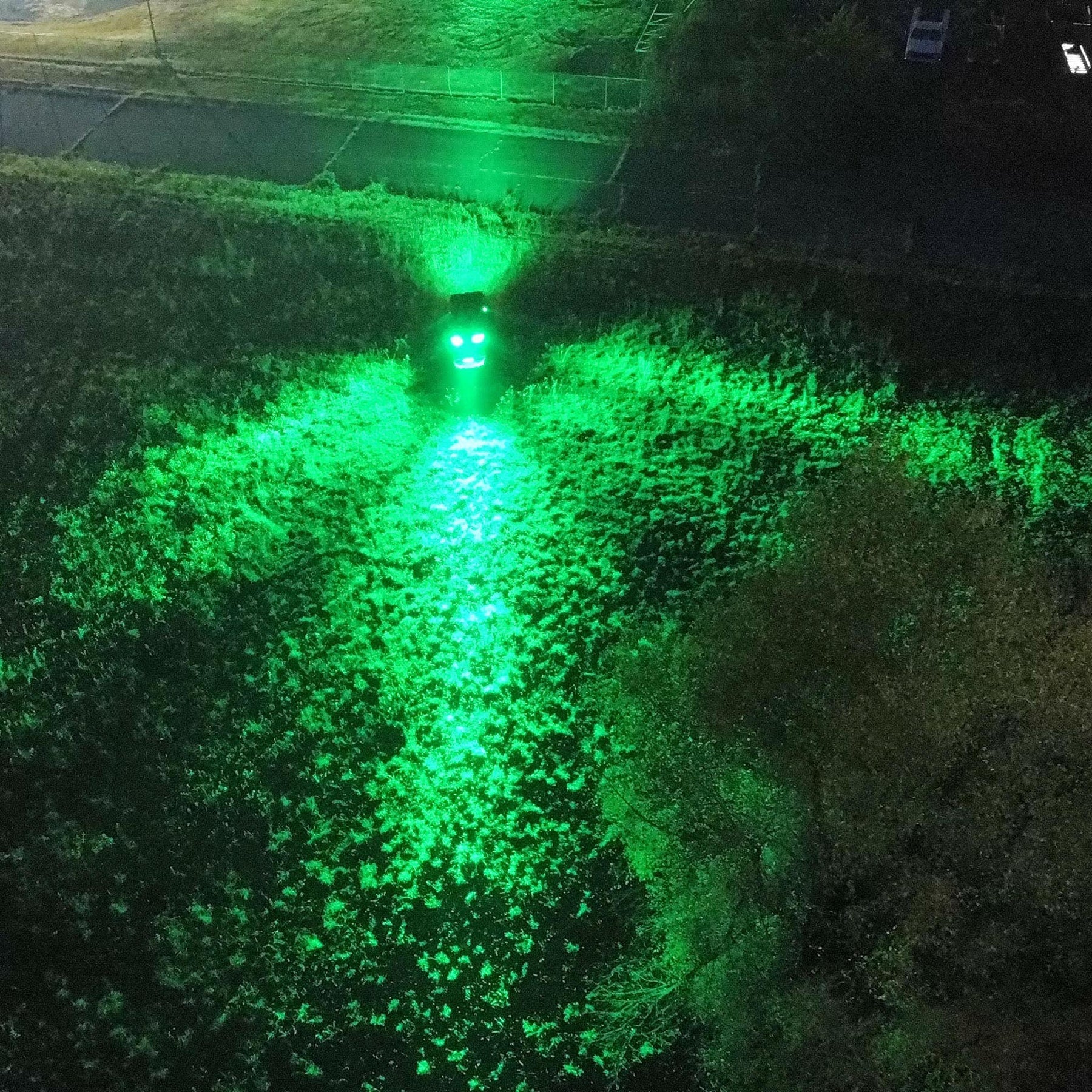 Elusive Wildlife Kill Light Predator Series Blackout LED Lights