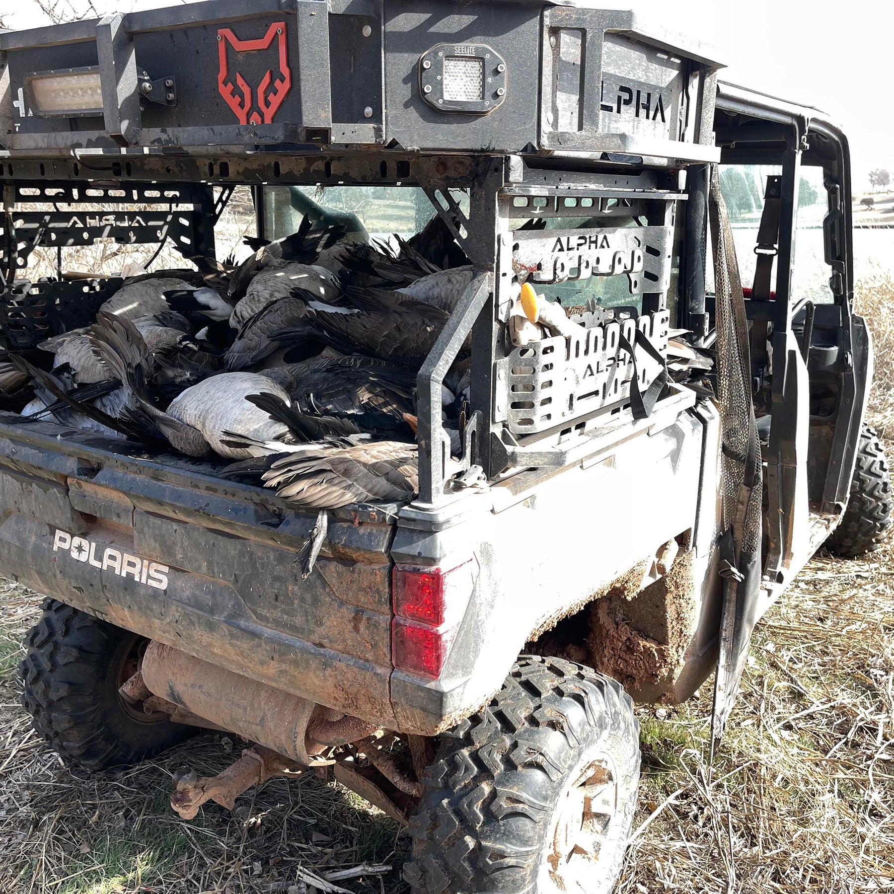 Alpha Adapt Flush Side Panel Set