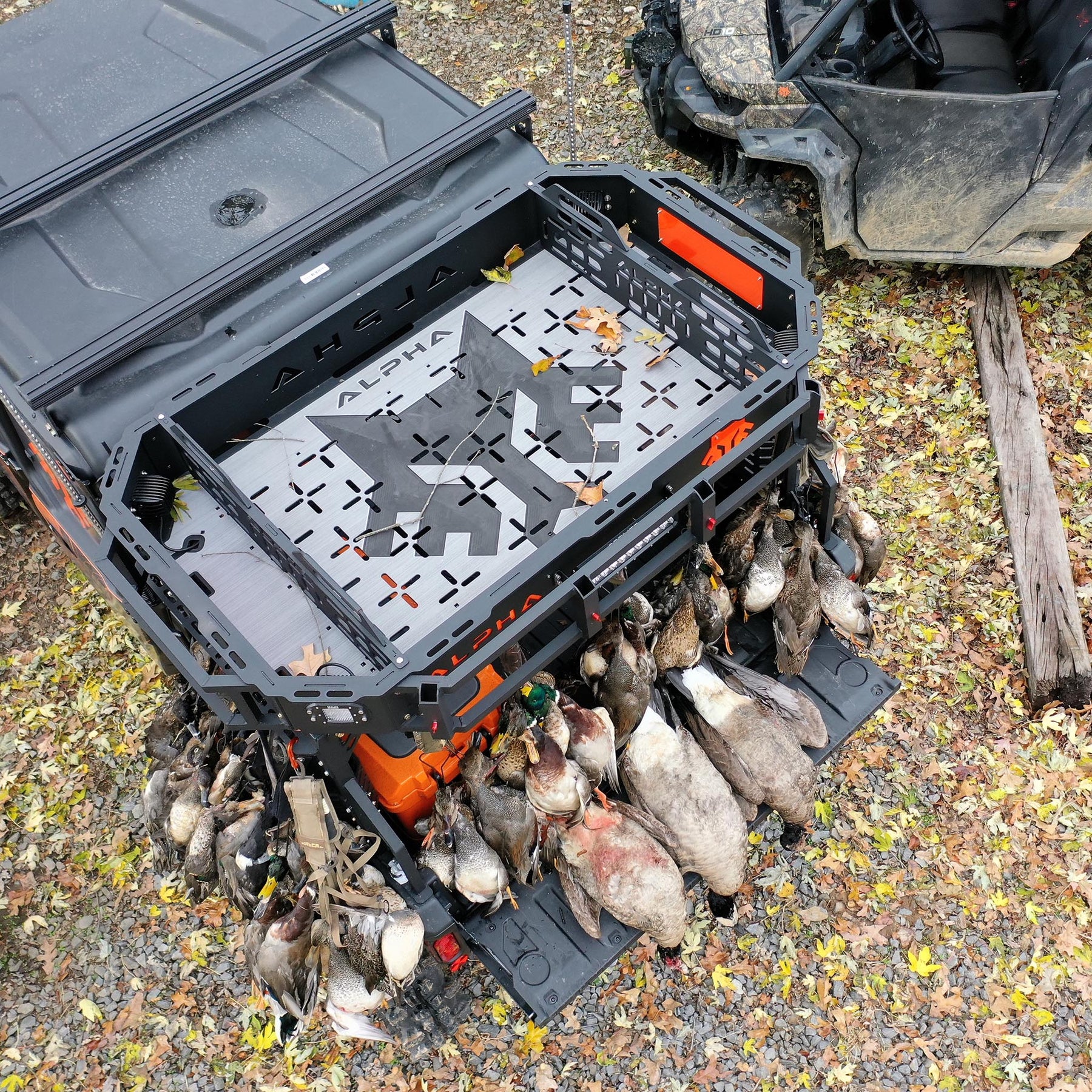 Alpha Adapt Divider Plate Set