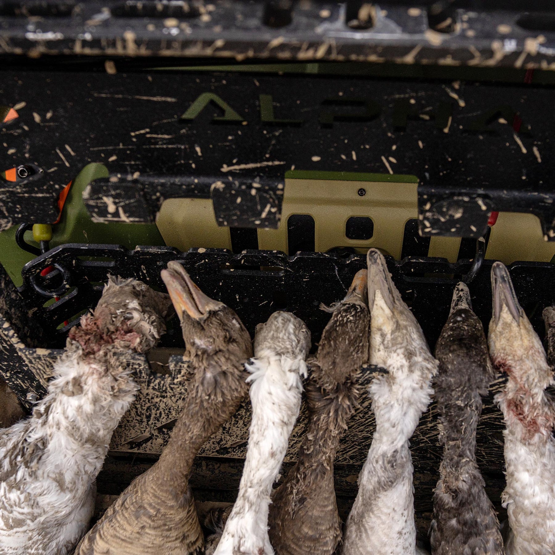 Alpha Adapt Standard Decoy Side Panel Compartment