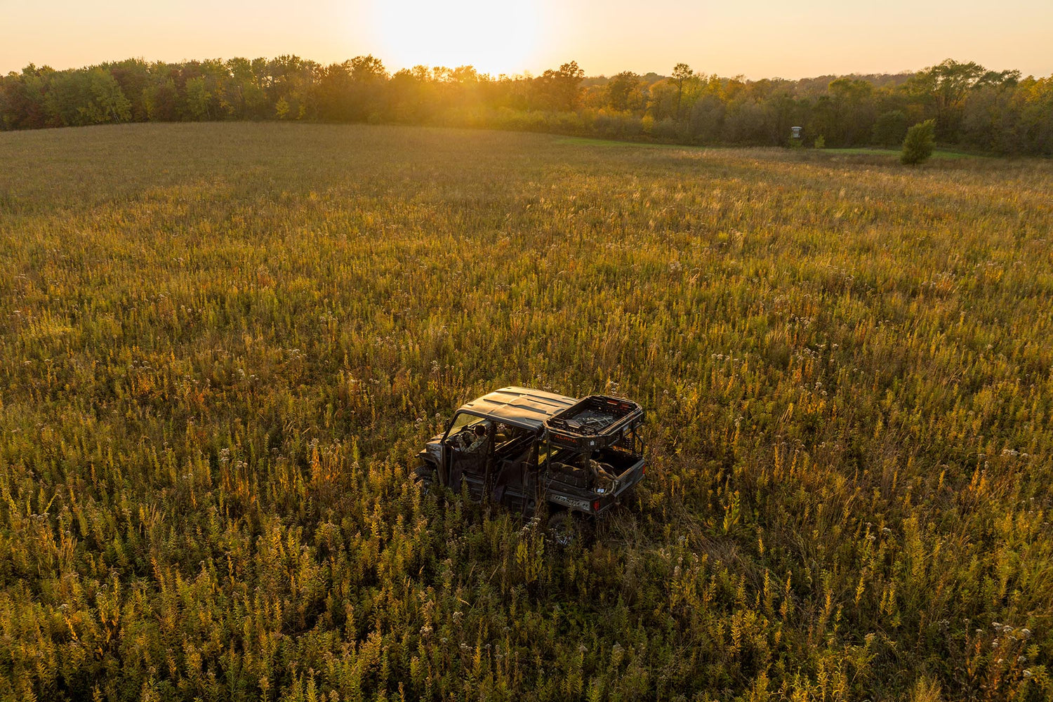 Early Season Food Plots: Cultivating a Deer Haven