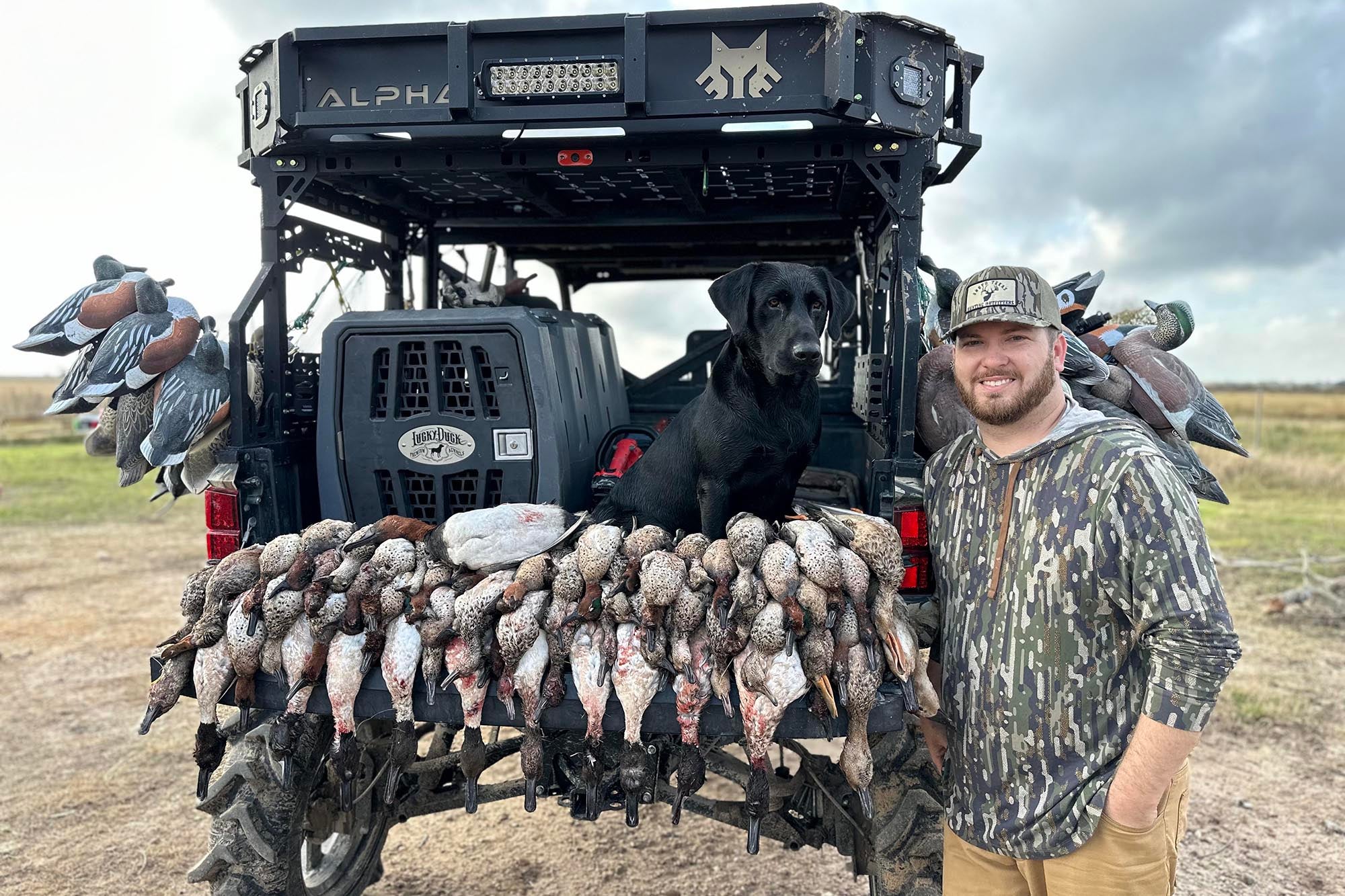 Mastering Waterfowl Habitat