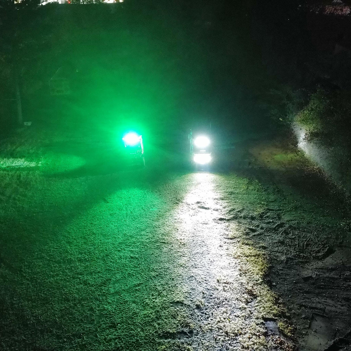 Alpha Standard Roof Rack Light Kit